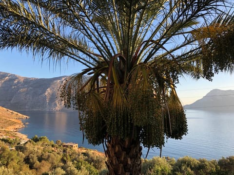 Kastri Apartments Bed and Breakfast in Kalymnos