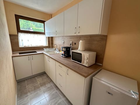 Kitchen or kitchenette, minibar, stove