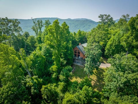 The Falcon Ridge Cabin Casa in Asheville