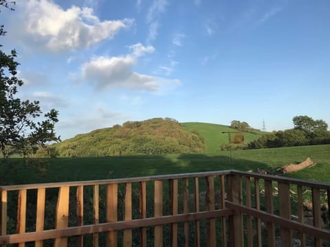 Tree house and shepherds hut Maison in Ashburton