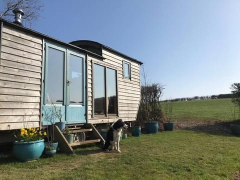 Secluded Shepherds Hut, with a view and hot tub House in Ashburton