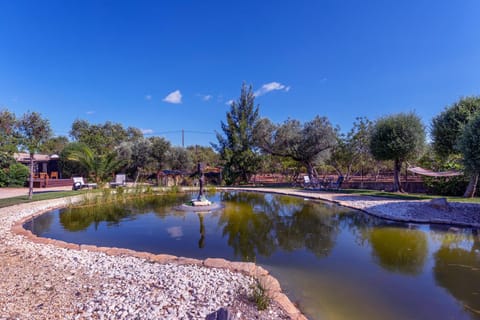 Natural landscape, Lake view, Swimming pool