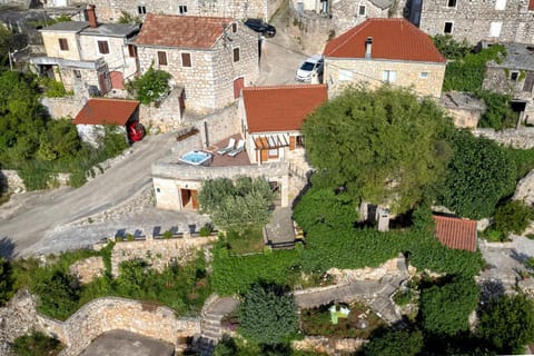 Bird's eye view, Garden view