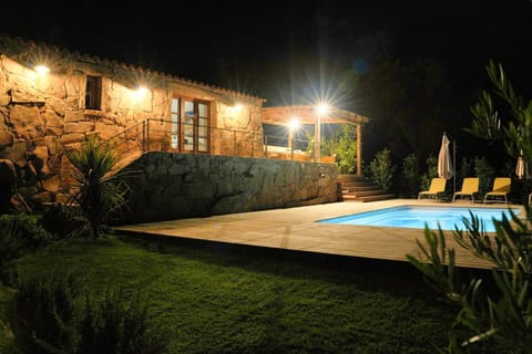 Night, Garden, Swimming pool