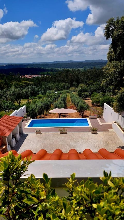 Pool view, Swimming pool, sunbed