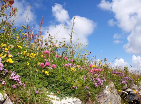 Natural landscape