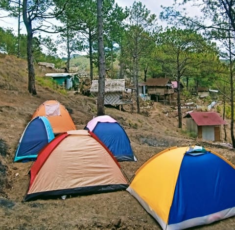 IYAMAN FARM near SAGADA Campground/ 
RV Resort in Cordillera Administrative Region