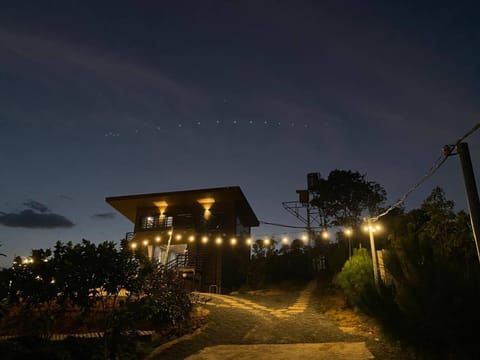 Night, Garden view