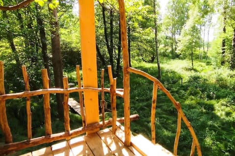 Treehouse LEA Apartment in Sächsische Schweiz-Osterzgebirge