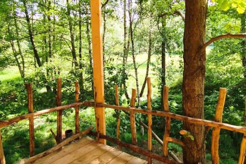 Treehouse LEA Apartment in Sächsische Schweiz-Osterzgebirge