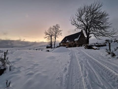 Natural landscape, Winter