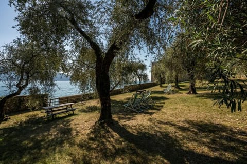 Oleandro apartment directly on the lake Apartment in Gargnano