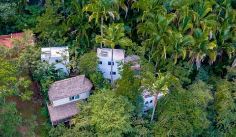 Ecosoul Guacamaya Villa Apartment in Puerto Vallarta