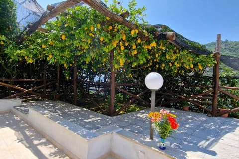 Villa in Lemon Grove with Sea Views & Sea Breeze Chalet in Minori