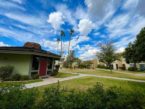 Absolutely Cozy Condo Next to Fashion Square Mall! Apartment in Scottsdale