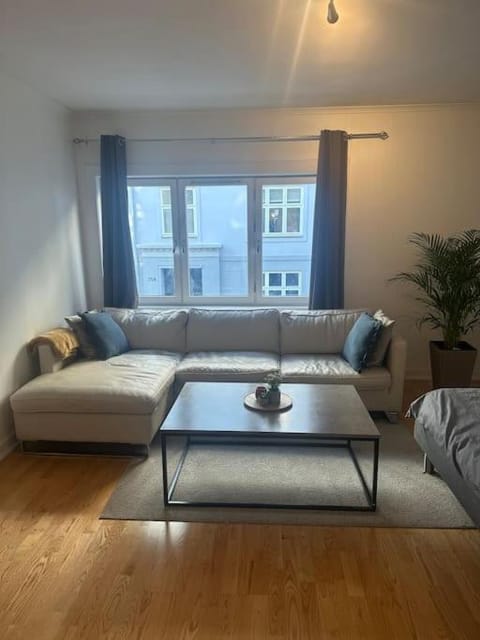 35m2 apartment in central oslo Apartment in Oslo