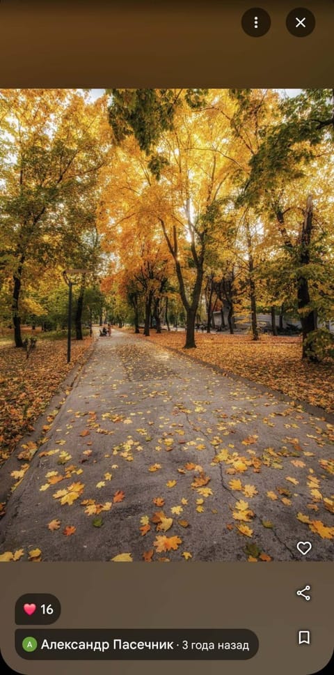 Day, Neighbourhood, Natural landscape