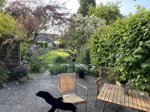 Ferienhaus Jenny House in Flensburg