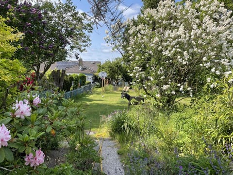 Ferienhaus Jenny House in Flensburg