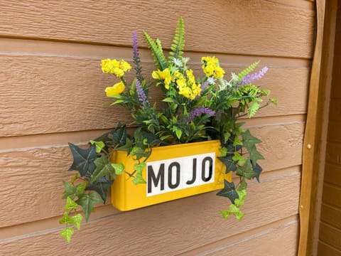 Mojo House in Ilfracombe