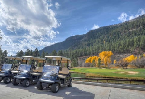 Tamarron Gambel Oak - 757 House in La Plata County