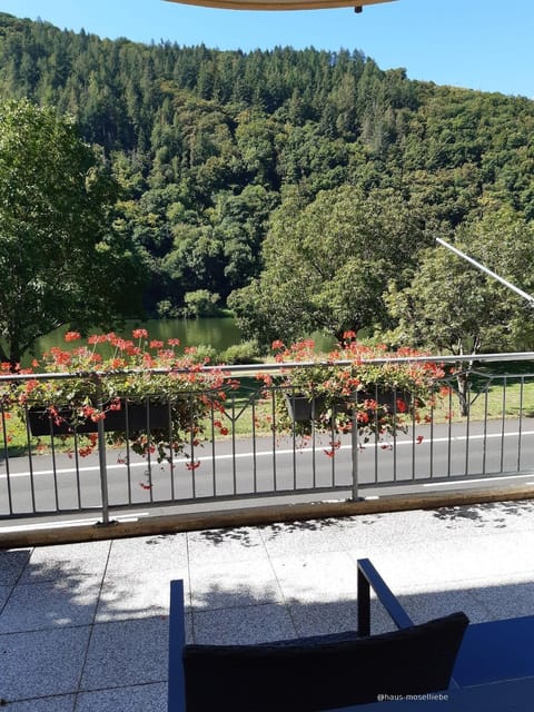 Haus-Moselliebe-2P-mit-Balkon-und-Moselblick Apartment in Koblenz