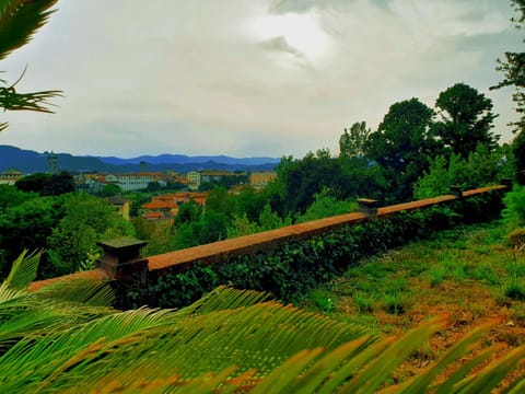 Day, Natural landscape, Balcony/Terrace, City view, Landmark view