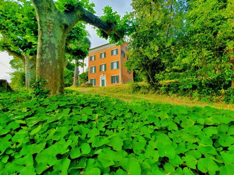 Property building, Day, Natural landscape, Garden, Garden view