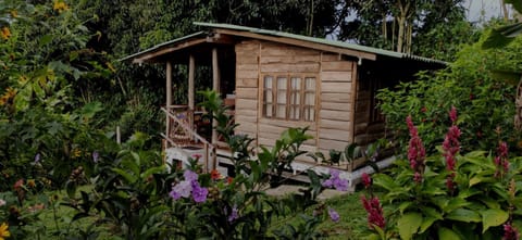 Property building, Garden view