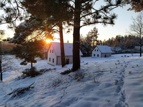 Natural landscape, Winter, Sunrise