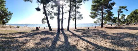 Nearby landmark, Beach