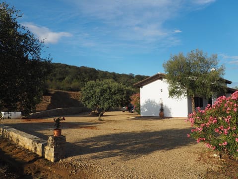 El Cañuelo de Casa Román Country House in Sierra Norte de Sevilla