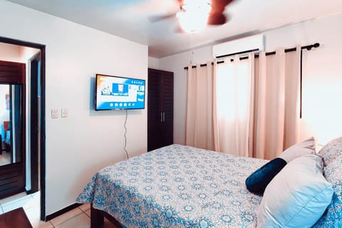 Bed, TV and multimedia, Bedroom, fireplace, wardrobe, air conditioner