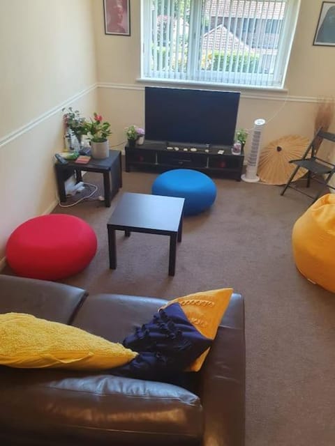 1bedroom flat wt ext sofa chair Apartment in Horsham