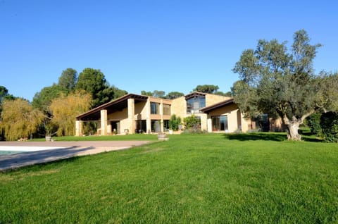 Patio, Garden, Garden view