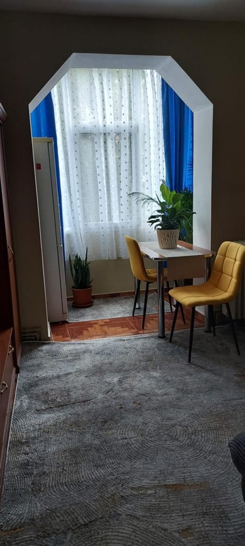 Apartament Gara Mica Apartment in Timiș County