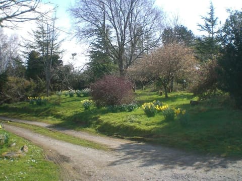 Innisfreedom cabin Apartment in County Sligo