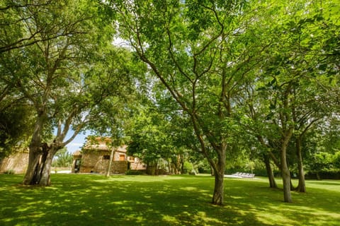 Garden, Garden view