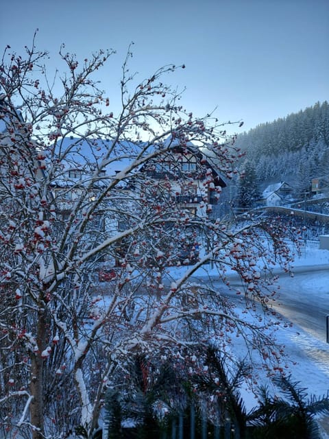 Ferienwohnung Schwarzwald Apartment in Titisee-Neustadt