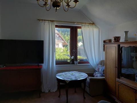 Ferienwohnung Schwarzwald Apartment in Titisee-Neustadt