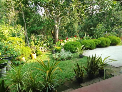 Natural landscape, Garden, Garden, Garden view