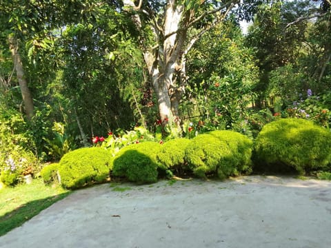 Garden, Garden, Garden view