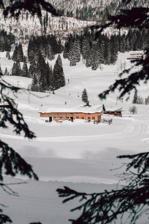 Property building, Natural landscape, Winter, Mountain view