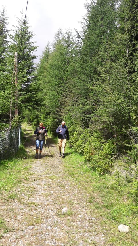 Ferienhaus Luis Apartment in Trentino-South Tyrol