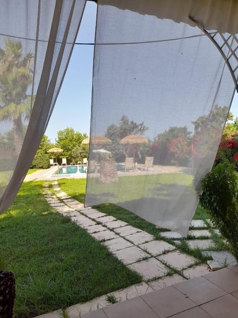 Garden, Garden view, Pool view