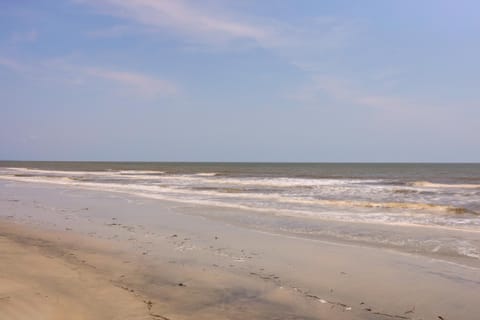 Pet-Friendly Jekyll Island Abode - Walk to Beach! Apartment in Camden County