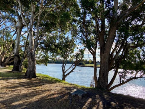 Little bird Apartment in Smithton