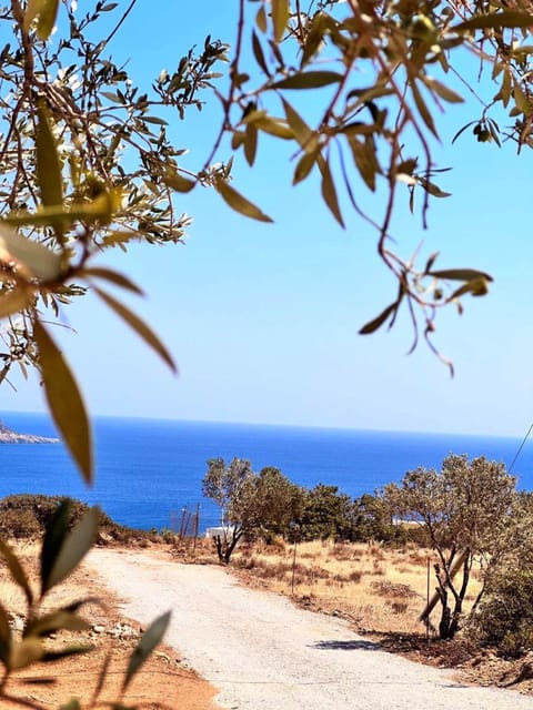 Natural landscape, Beach, Sea view