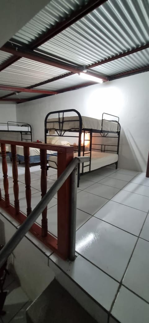 Bed, Photo of the whole room, Bedroom, bunk bed