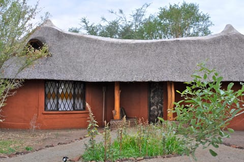 Munga Eco-Lodge Nature lodge in Zimbabwe